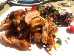 -一棵树·意大利西餐厅One Tree(新城店)