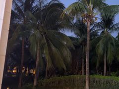 -三亚海棠湾喜来登度假酒店