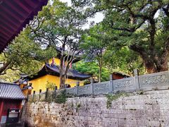 -普陀山风景名胜区-法雨禅寺