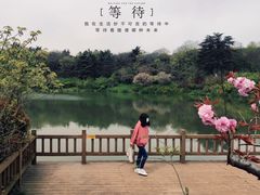 -汉陵苑