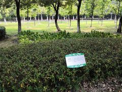 -白塘生态植物园