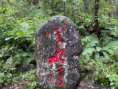 -五营红松林海景区