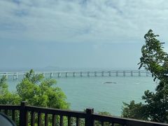 -星海湾跨海大桥