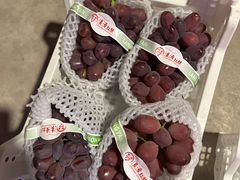 -马陆小张葡萄园农家乐