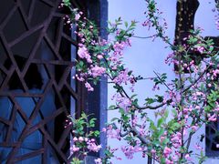 -莫愁湖公园