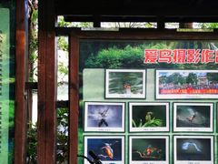-陈家山荷花公园