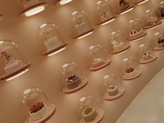 -石家庄万象城