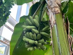 -中家鑫园温泉酒店鑫悦汤泉