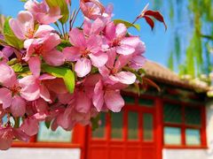 -海棠花溪(元大都城垣遗址公园)