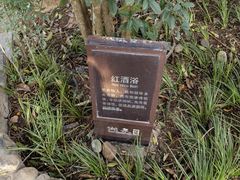 -湖泉半山温泉