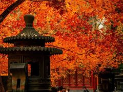 -香山公园
