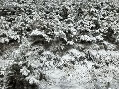 -采薇庄园四季滑雪场