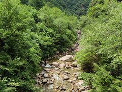 -青峰峡国家森林公园