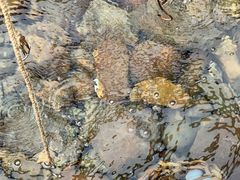 -天芳悦潭度假村温泉