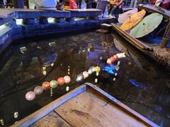 -淀里船宴(卓达店)