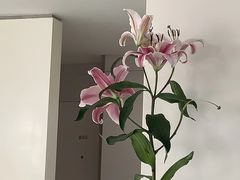 -卡罗酒店(东门晒布地铁站店)