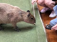 -正佳雨林生态植物园