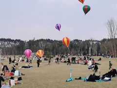 -秀丽东方