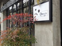 -O'mills Sourdough Bakery&Bistro(永嘉路店)