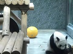 -西安秦岭野生动物园