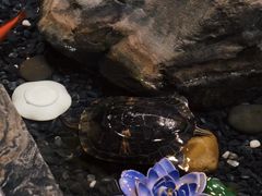 -南堂館川菜文化餐厅(天府店)