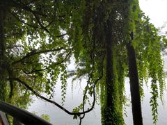 -南诏风情岛