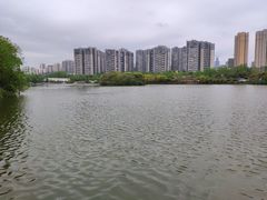 -三圣花乡旅游区