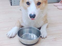 -韩通韩国语学院(虹口校区)