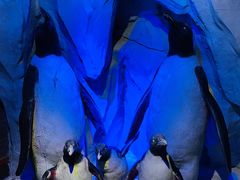 -太平洋海底世界