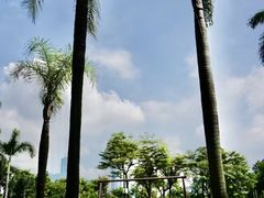 -广州香格里拉酒店
