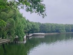 -北陵公园