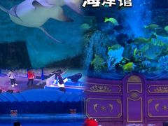 -横店影视城梦幻谷园区