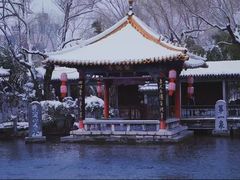 -山东省立医院(中心院区)