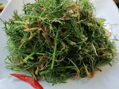 -东口码头·烧鸽子·鱼头泡饼·地方菜(金鹰悦城店)