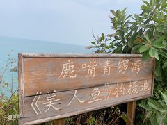 -杨梅坑
