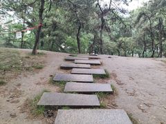 -元大都城垣遗址公园