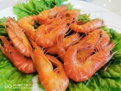 白灼大草虾-骏莱海鲜鱼港(五角场店)