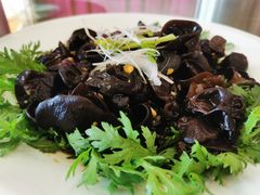 -黄埔华苑酒家(黄埔店)