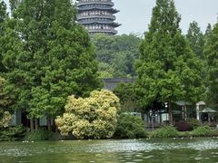-西湖游船
