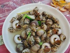白灼双螺-金海湾海鲜排档(朱家尖店)
