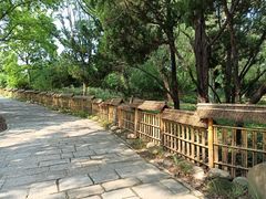 -共青国家森林公园-售票处