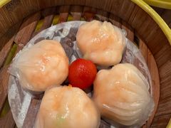 -潮江春(阳光店)