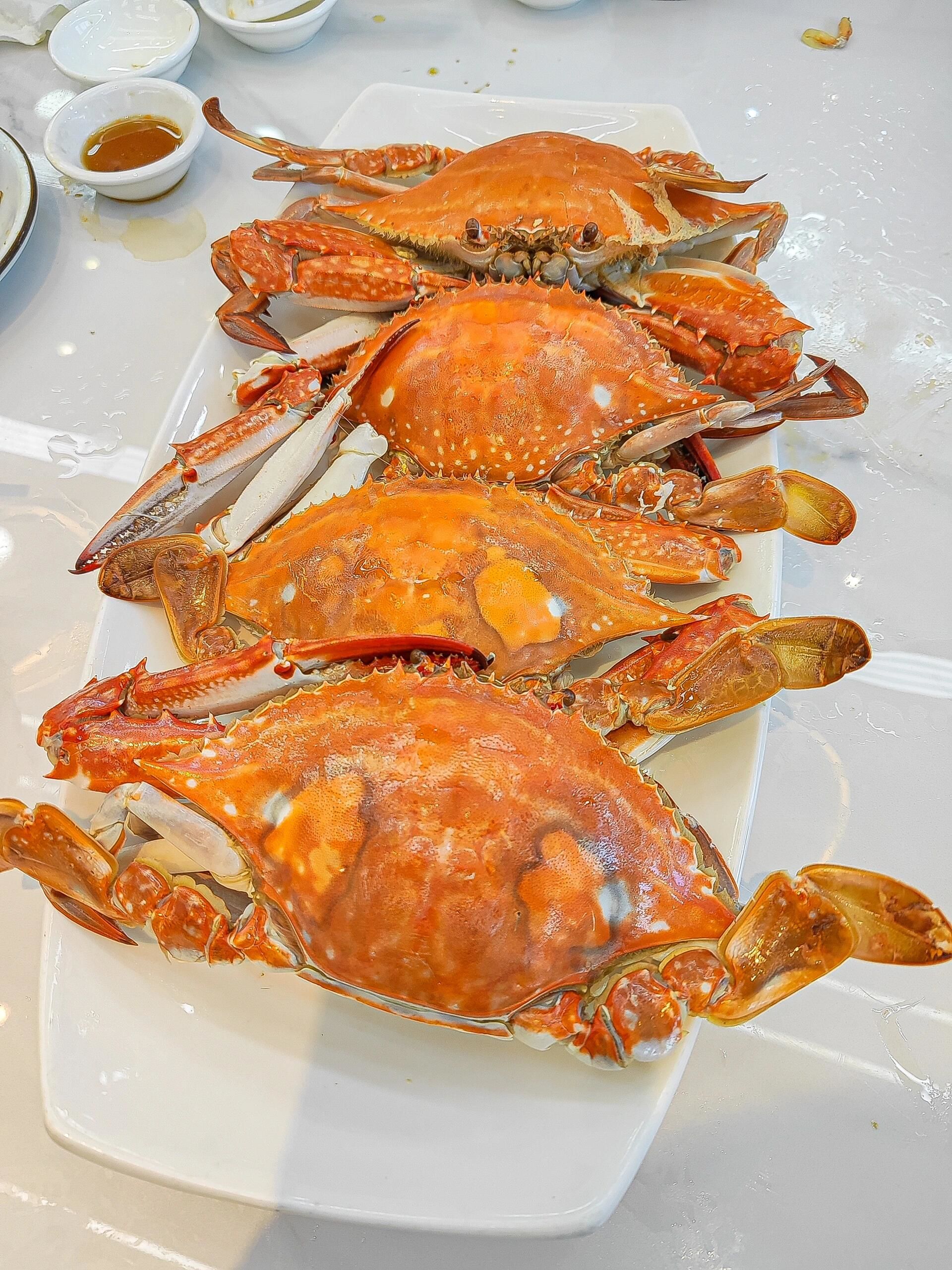 来舟山旅游的🦞别错过这家海鲜大排档!