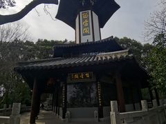 -上海佘山国家森林公园天马山园