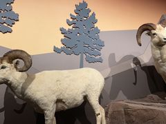 -陕西自然博物馆