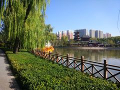 -迎泽公园
