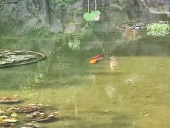 -杭州少年儿童公园