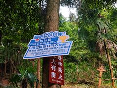 -凤栖山