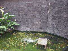 -胖子菜馆(花园餐厅店)
