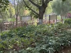 -五缘湾湿地公园